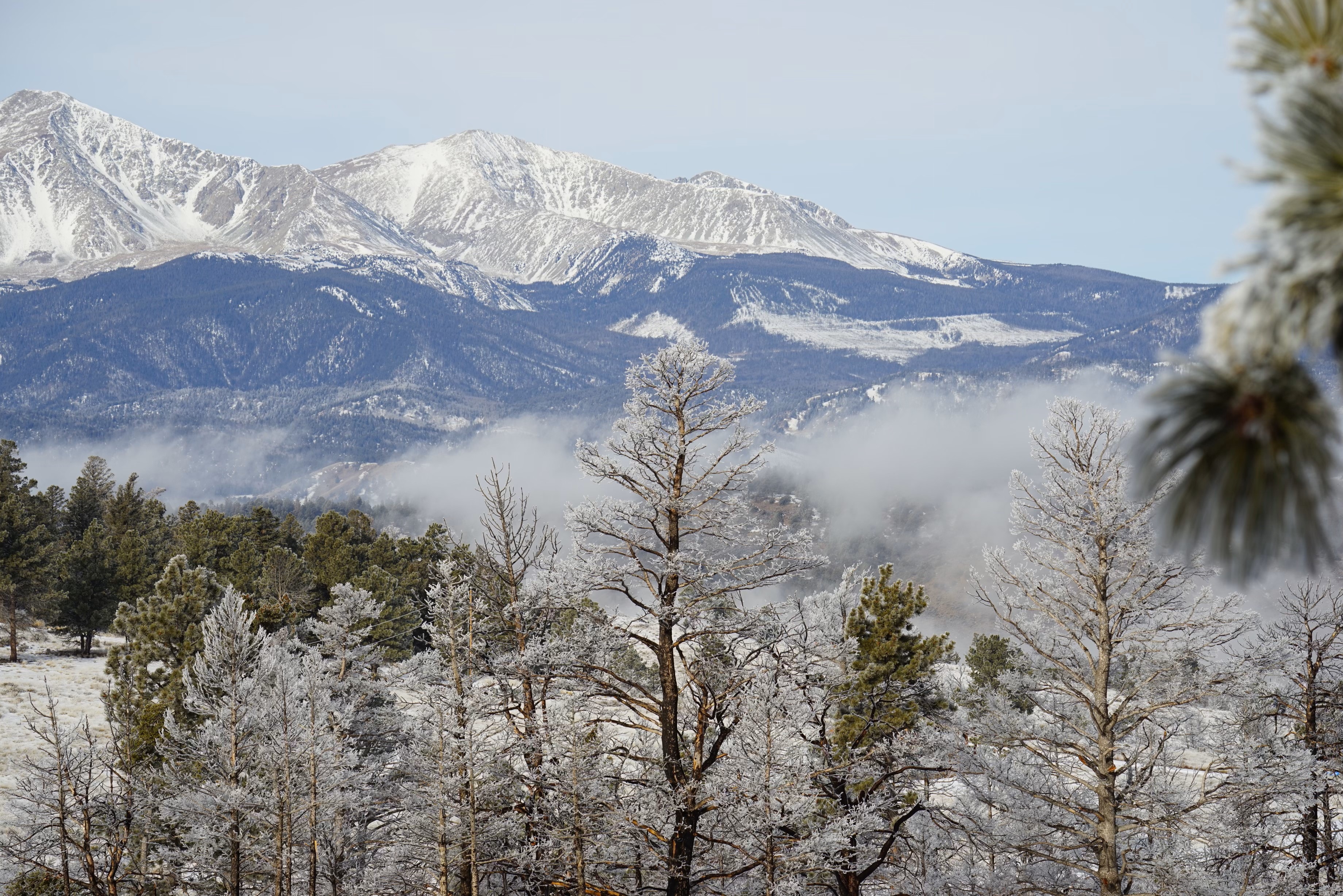 Snow-covered mountains and frost-covered trees in Forbes Park