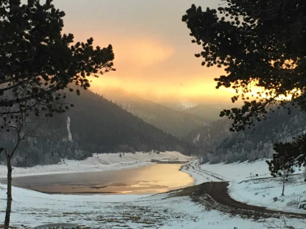 Forbes Park Land Owners Association